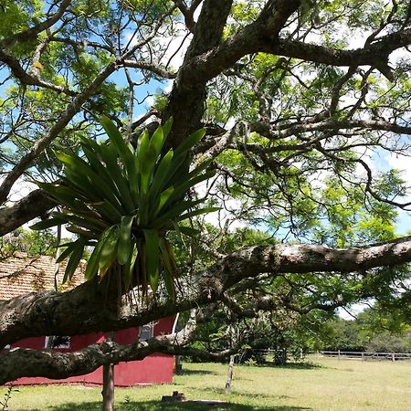 Aldeia Santuario Das Aves Tavares Oda fotoğraf