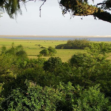 Aldeia Santuario Das Aves Tavares Dış mekan fotoğraf