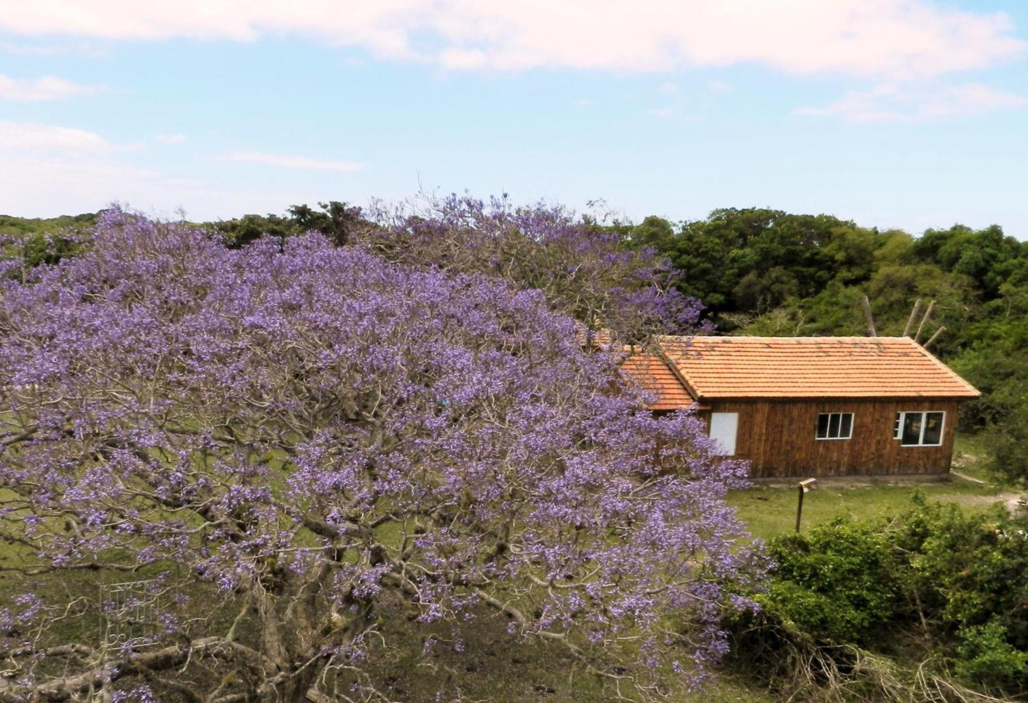 Aldeia Santuario Das Aves Tavares Oda fotoğraf