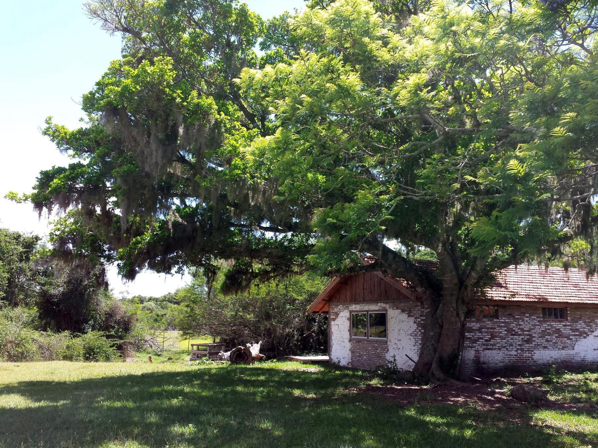 Aldeia Santuario Das Aves Tavares Oda fotoğraf