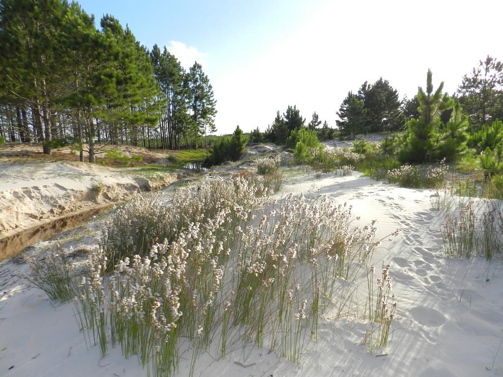 Aldeia Santuario Das Aves Tavares Dış mekan fotoğraf