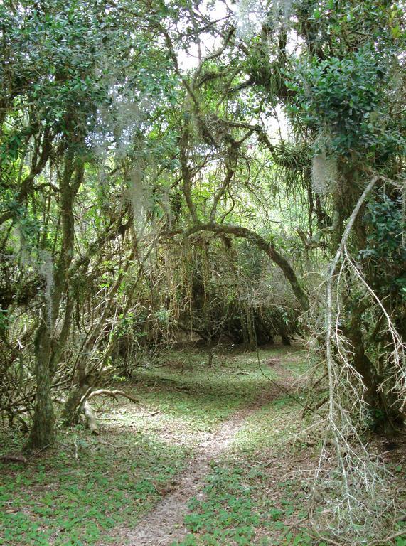 Aldeia Santuario Das Aves Tavares Dış mekan fotoğraf