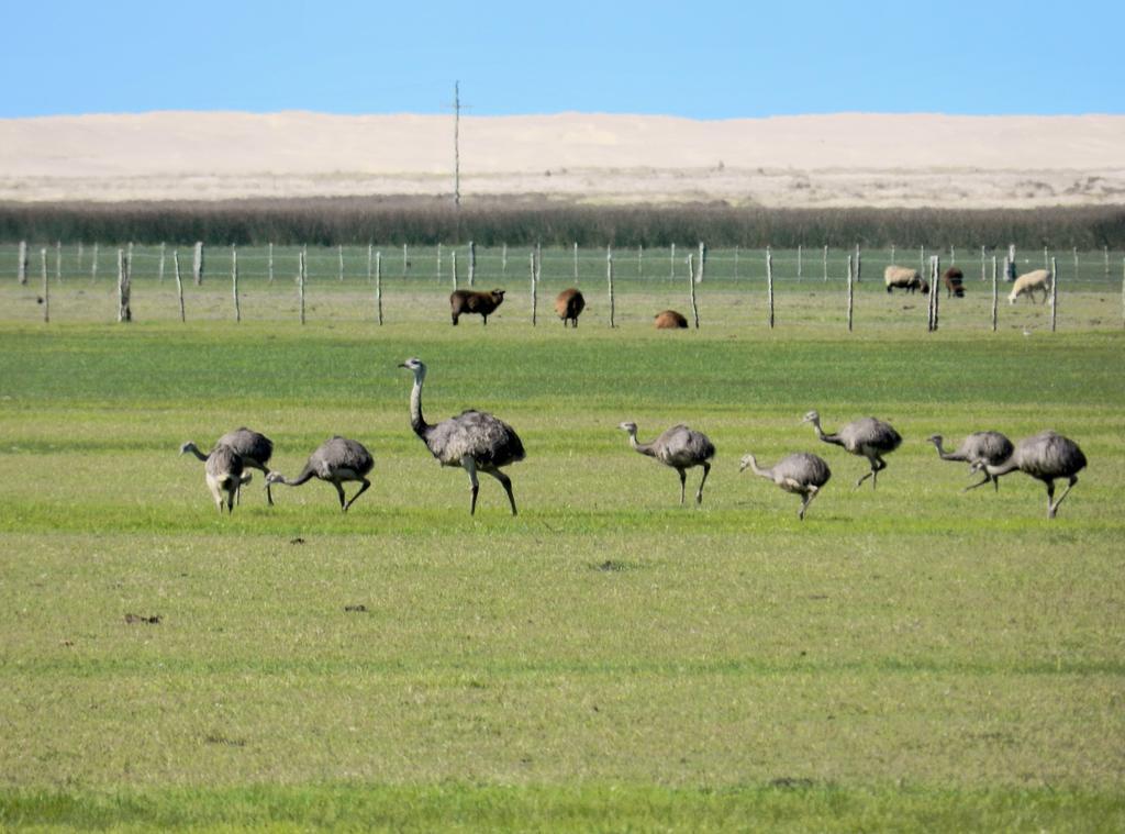 Aldeia Santuario Das Aves Tavares Dış mekan fotoğraf