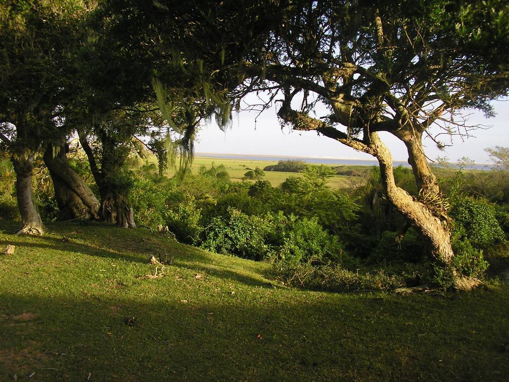 Aldeia Santuario Das Aves Tavares Dış mekan fotoğraf