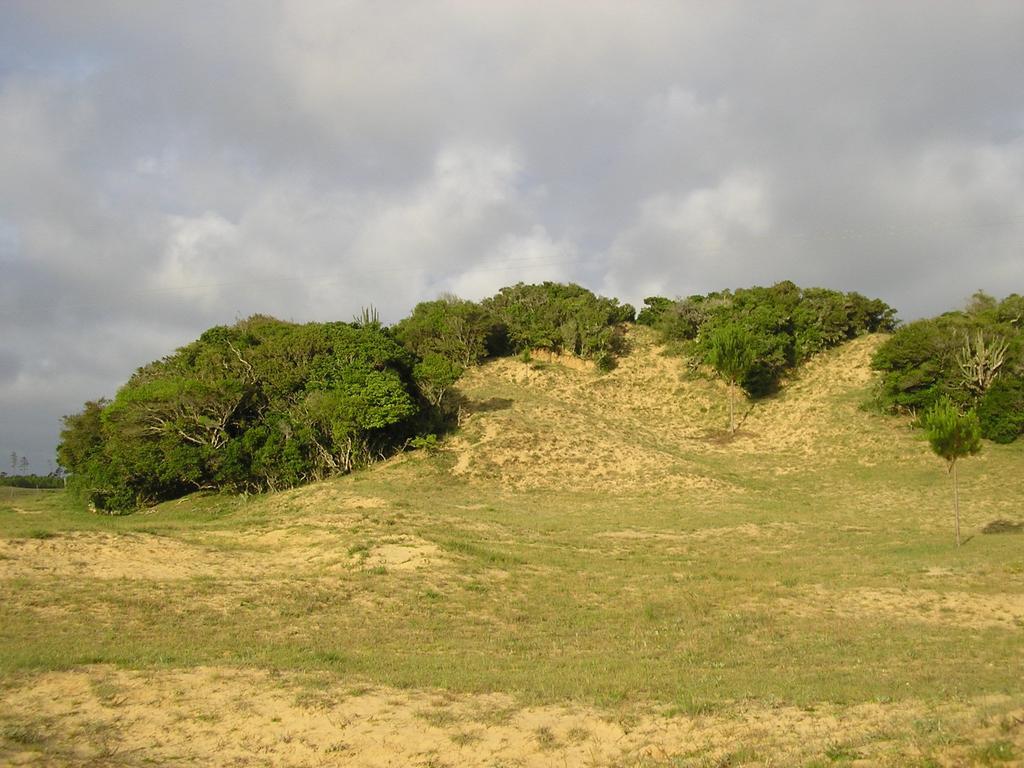 Aldeia Santuario Das Aves Tavares Dış mekan fotoğraf